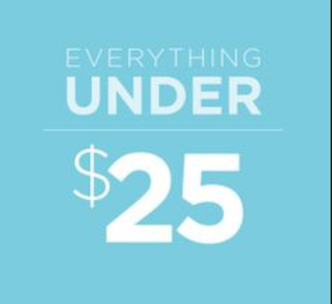 Top 8 Picks under $25 Shopping Guide Pre Black Friday and Cyber Monday