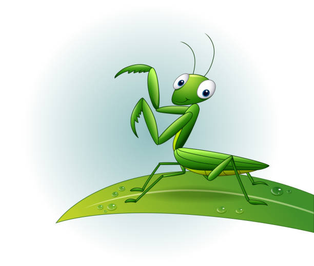 Let My Praying Mantis Go